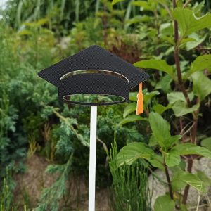 Topper "Czapka absolwenta"