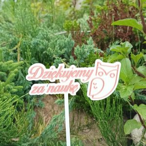 Topper "Dziękujemy za naukę z sową"