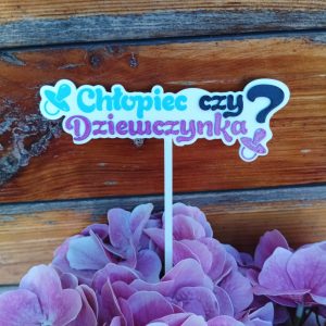 Topper "Chłopiec czy dziewczynka"